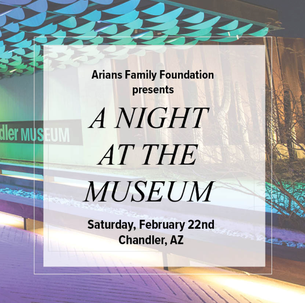 A Night at the Museum for Voices for CASA Children