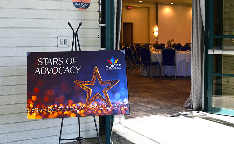 In The Spotlight – Stars of Advocacy